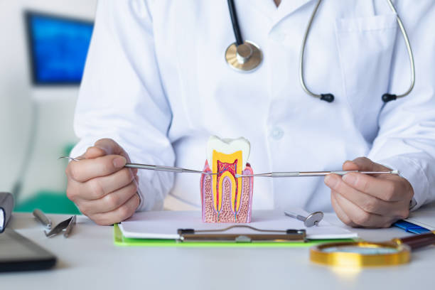 Best Emergency Treatment for Oral Infections in Opp, AL